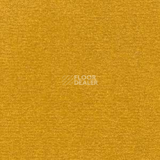 Ковролин Radici Nexus Senape 2429 фото 1 | FLOORDEALER